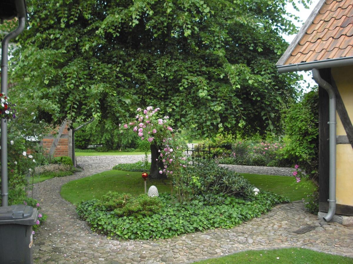 Suderburg Landhaus Kiesow מראה חיצוני תמונה