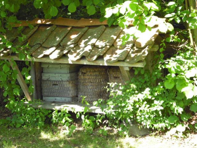 Suderburg Landhaus Kiesow מראה חיצוני תמונה
